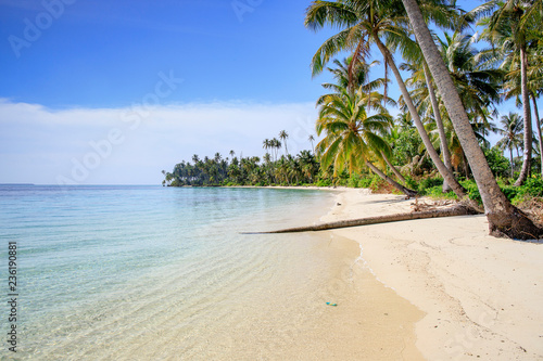 A nice and empty beach in a tropical desert island of Sumatra, Indonesia. Blue sky, white sand and coconut trees, a dream holiday place to relax, ses, a dream holiday place to relax, snorkel and rest. © Gonzalo Jara