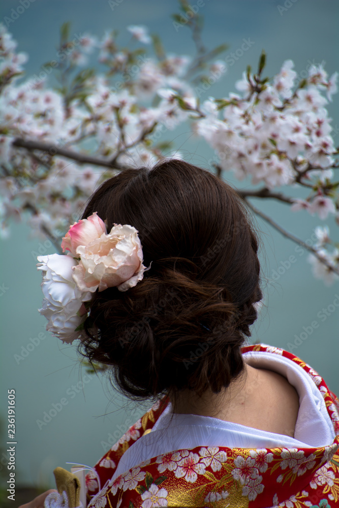 Naklejka premium ENJOYING SAKURA