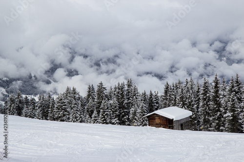 small house in zillertal Alps, Austria © Tomtsya