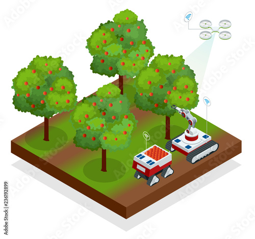 Isometric automatic guided robots harvest fruit from trees. Agricultural machinery robots mechanical arm working technology.