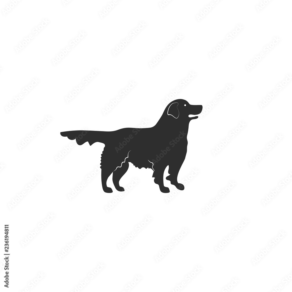 Vector illustration. Flat style icon of golden retriever for different design. Cute family dog. Simple silhouette pictogram for different design.