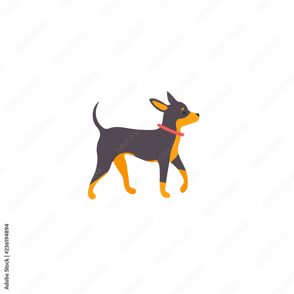 Vector illustration. Funny cartoon style icon of russian toy terrier for  different design. Cute family dog. Stock Vector | Adobe Stock