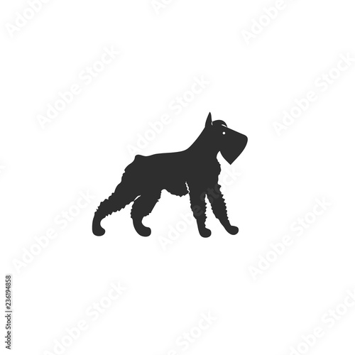 Vector illustration. Flat style icon of mittelschnauzer for different design. Cute family dog. Simple silhouette pictogram.