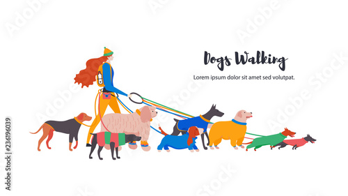 Vector illustration. Set icons of dogs in overalls and personal dog-walker. Different breeds: basset hound, komondor, rhodesian ridgeback, golden retriever, dobermann, weimaraner, dachshund. 