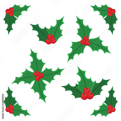 Christmas holly berry icon collection.
