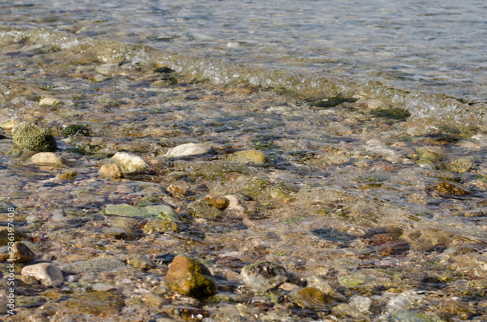 Obraz premium Details am Strand