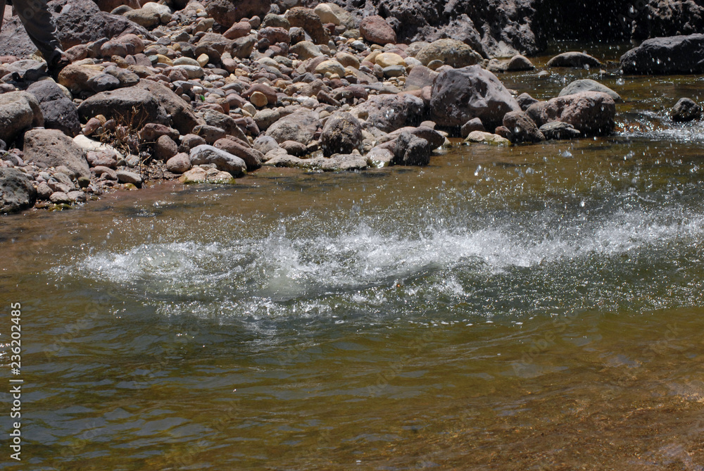 Rios y lagunas de la montaña de Guerrero Mexico Stock Photo Adobe Stock