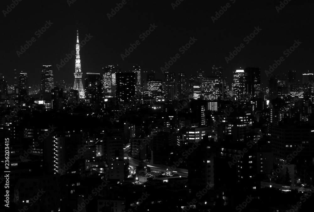 Black and White image of the Tokyo Japan skyline at night