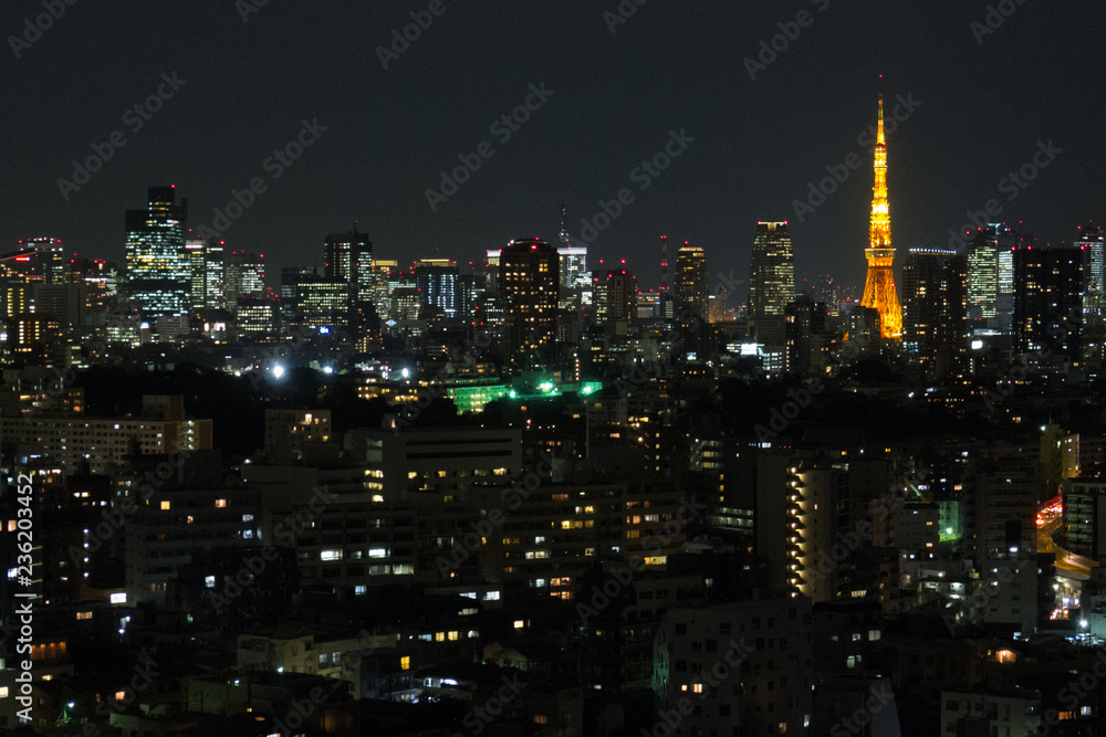 Skyline of Tokyo Japan metropolis downtown at Night