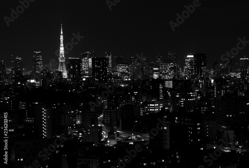 Black and White image of the Tokyo Japan skyline at night