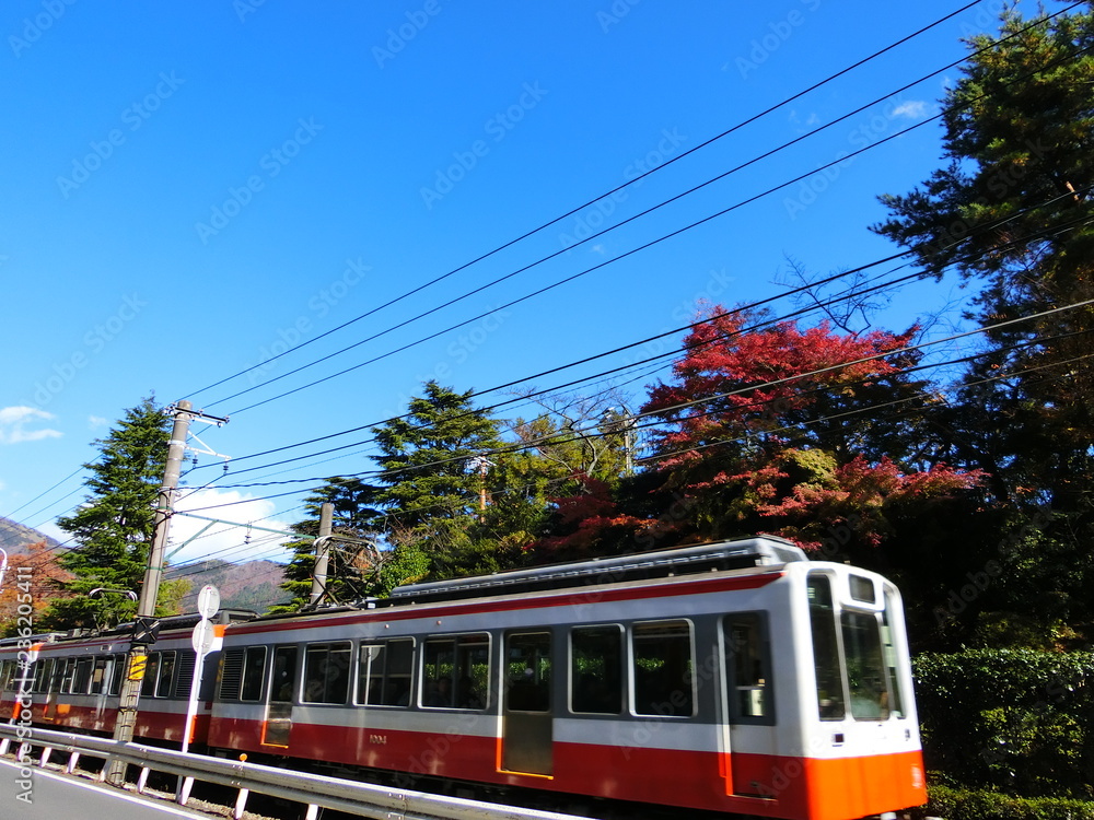 紅葉と箱根登山電車