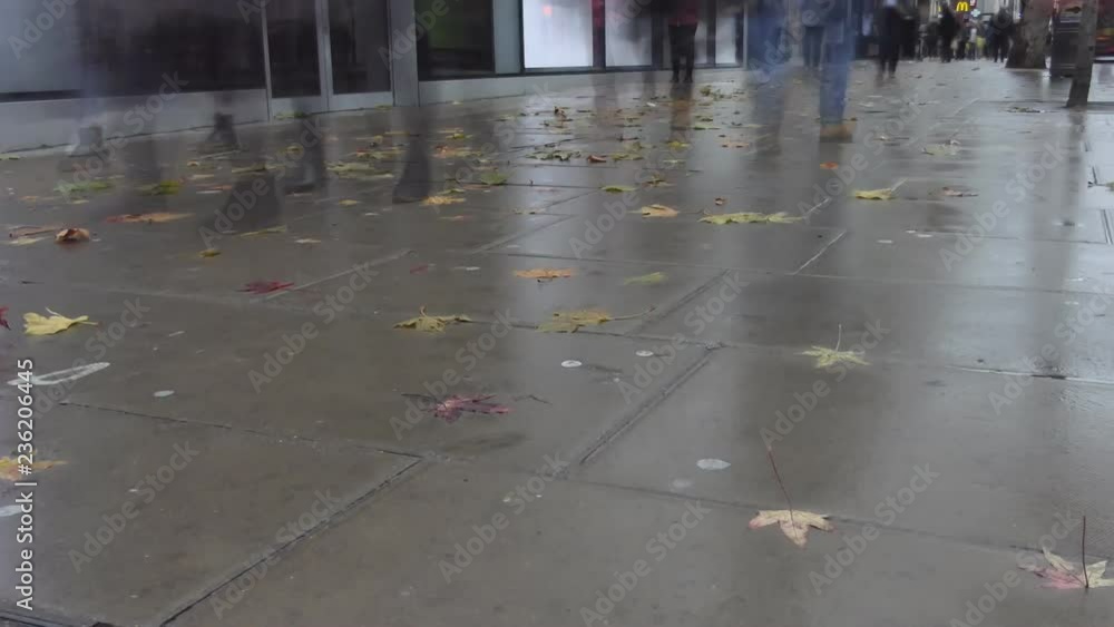custom made wallpaper toronto digitalTime lapse. People walking on wet sidewalk with yellow leaves.
