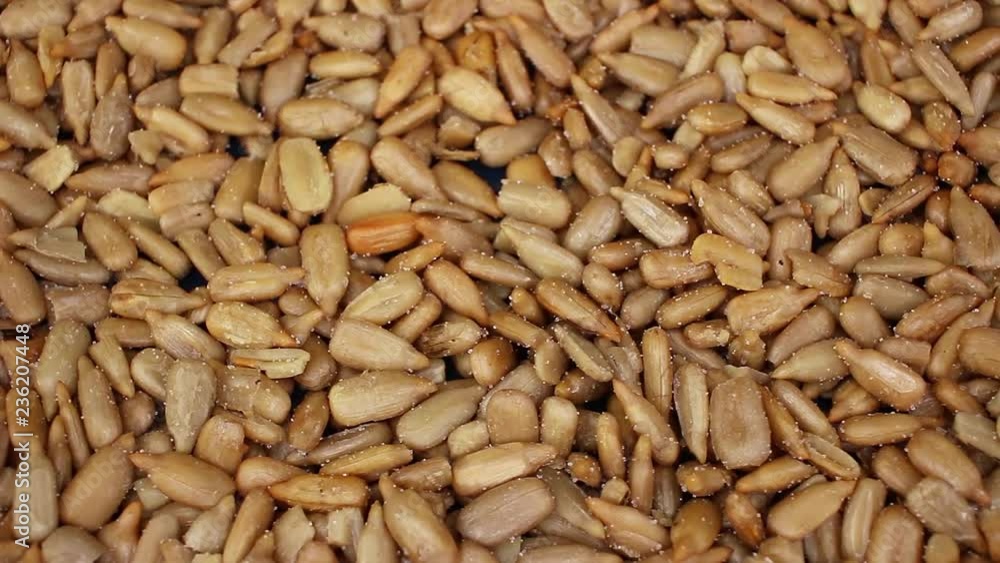 Sunflower seeds texture video rotating food closeup background Sunflower seeds texture video rotating food closeup background