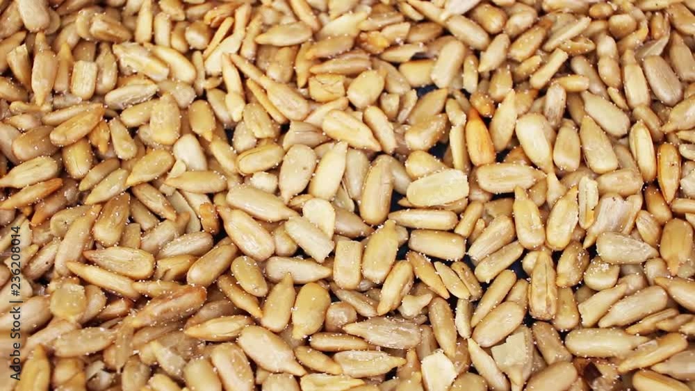 Sunflower seeds texture video rotating food closeup background Sunflower seeds texture video rotating food closeup background