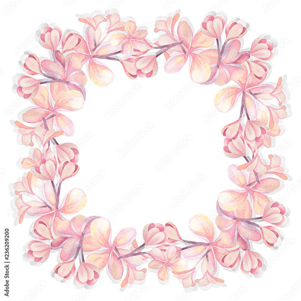Illustration of watercolor hand drawn frame witn pink plumeria flowers isolated on white background. For cards, wedding invitation, posters.