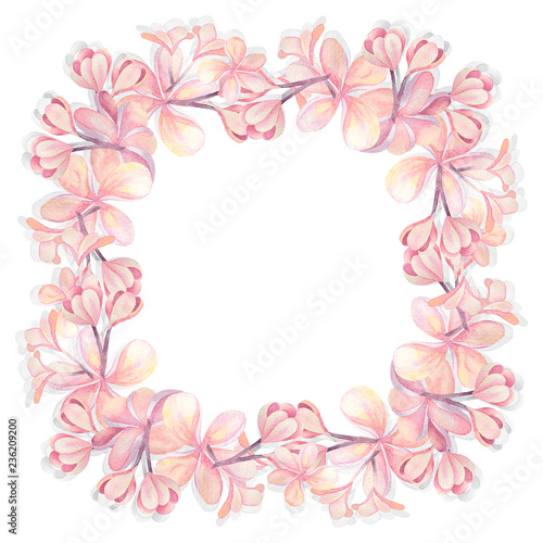 Illustration of watercolor hand drawn frame witn pink plumeria flowers isolated on white background. For cards, wedding invitation, posters.