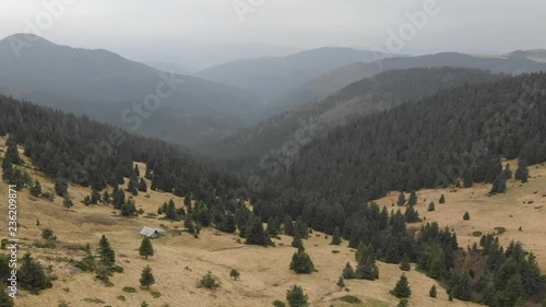 Aerial shot overlooking the mountains. Forest many firs