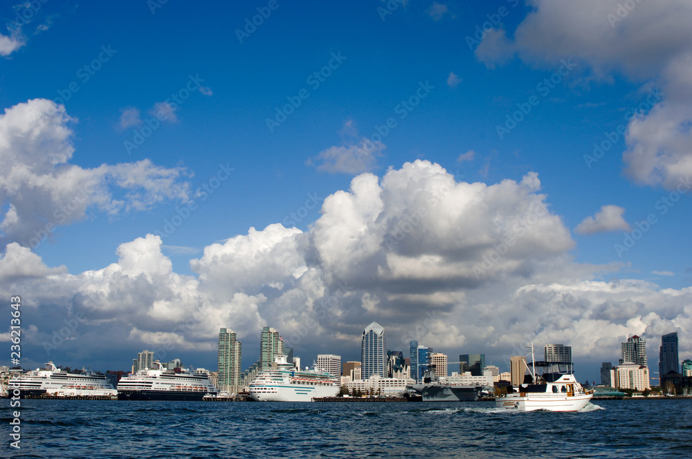 view of the city of san diego with cruise ships