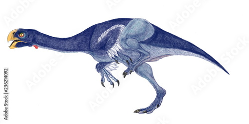 コンコラプトル 白亜紀後期のオビラプトル科に属する恐竜。オビラプトルより小型で、体長は1.5メートルほど。雑食性。コンコラプトルは「貝泥棒」という意味があるが、鼻孔が頭部の上の方にあり、水中の貝を食べたのではないかと推測されたところから名付けられた。オビラプトルと同じく、顎の力が強く、硬いものを砕く突起が口の中にある。走行する姿を図録的に再現したイラスト。