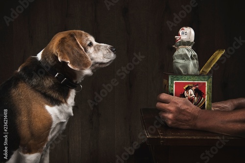 Dog with Jack In The Box