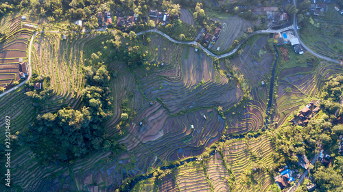 Aerial view on the Jatiluwih Rice Terrace, Bali, Indonesia