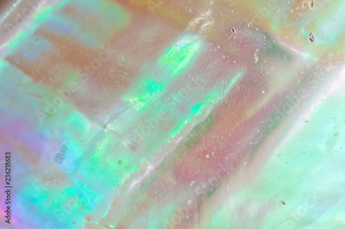 Картината върху платно Mother of pearl sea shell close up background