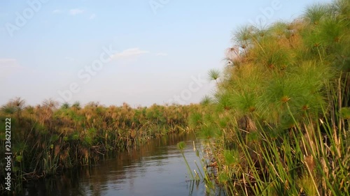 Boat cruise on the Okavango Delta in Botswana photo