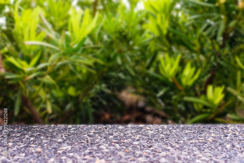 Dark gray terrazzo and blurred green plant background with copy and product p...