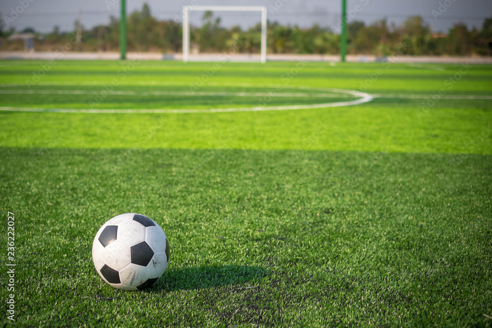Fototapeta premium Soccer football on green grass field and goal post