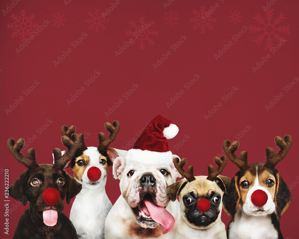 Group of puppies wearing Christmas costumes Group of puppies wearing Christmas costumes