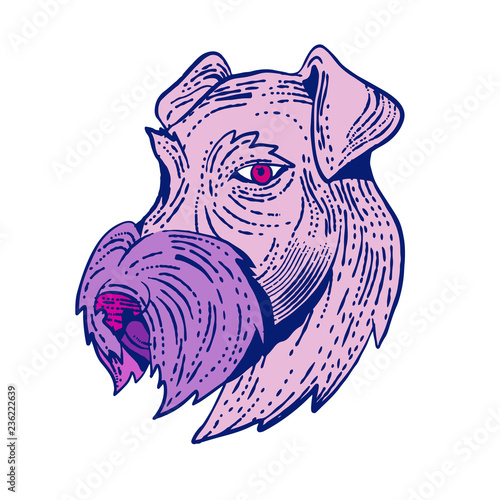 Bingley Terrier Head Etching Color