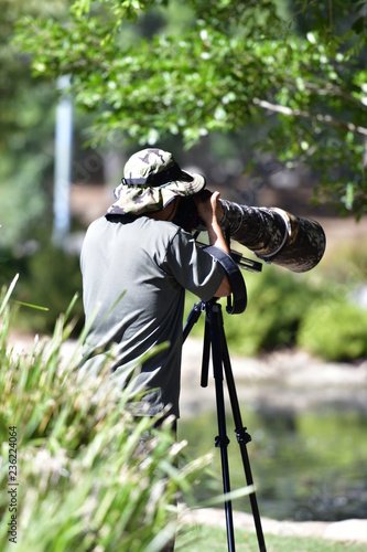 wildlife photographer