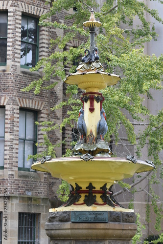 the fountain