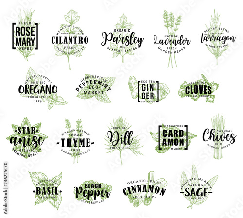 Herb and spice icons with lettering, vector