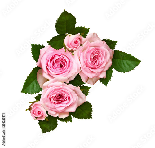 Pink rose flower and buds in a corner arrangement