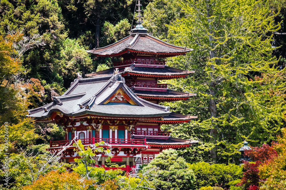 Pagodas surrounded by trees and lush vegetation, Japanese Tea Garden in Golden Gate Park, San Francisco, California Pagodas surrounded by trees and lush vegetation, Japanese Tea Garden in Golden Gate Park, San Francisco, California