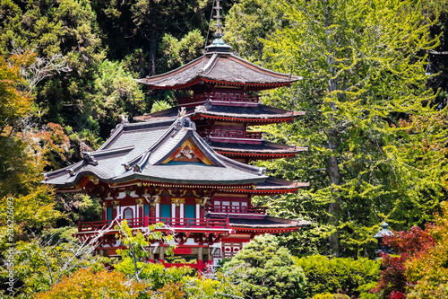 Photography Pagodas surrounded by trees and lush vegetation, Japanese Tea Garden in Golden G