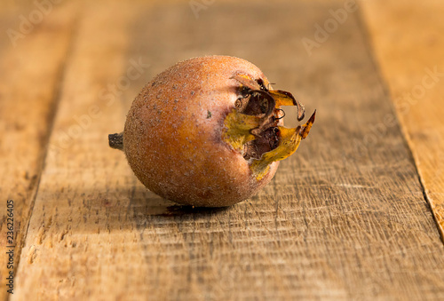 Meddler fruit isolated on wooden background
