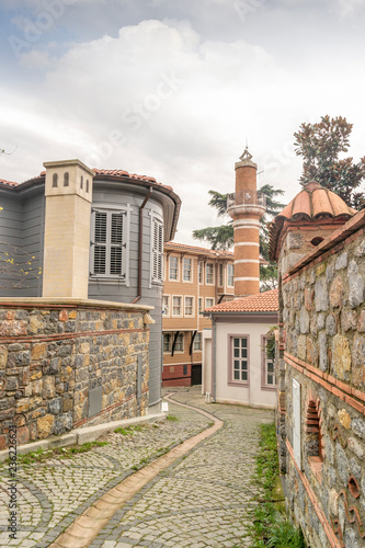 Anadoluhisari old houses at uskudar  Turkey