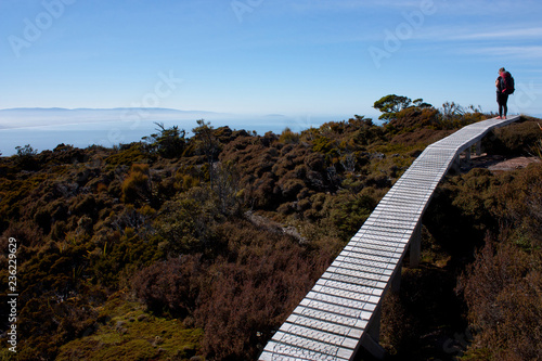 A woman with a backpack standing on a boardwalk on a ridge and looking at the sea at the Humpridge Walk in Fiordland / Southland in the South Island in New Zealand photo