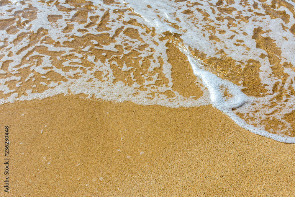 pure sands and clear sea water at the beach in summer pure sands and clear sea water at the beach in summer