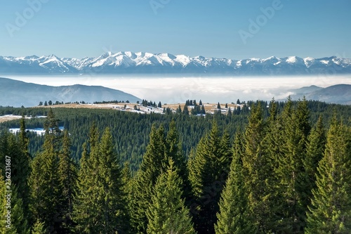 Beautiful winter panoramic landscape. The white snowy peaks of Pirin Mountains, viewed from Rila Mountains, coniferous pine forest, fog in the valley.