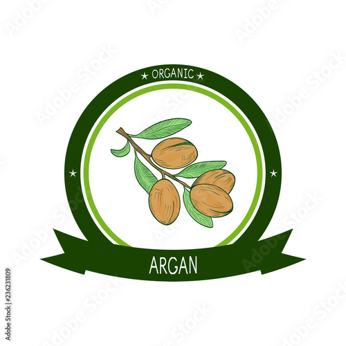 Argan. Plant. Fruit, leaves. Sketch. Logo, sticker, emblem. Color