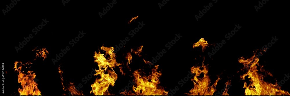 Real fire flames isolated on black background. Mockup on black of 5 flames. Real fire flames isolated on black background. Mockup on black of 5 flames.