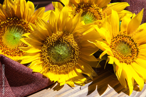 Fototapeta Naklejka Na Ścianę i Meble -  Beautiful card with yellow bouquet of sunflower flowers with sunshine
