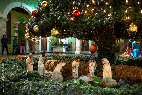 Canvas Print Nativity Scene under the Christmas Tree, Merida, Yucatan, Mexico