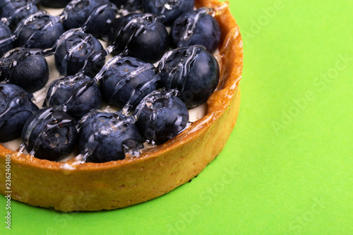 Delicious blueberry tartlet with vanilla cream on bright green background