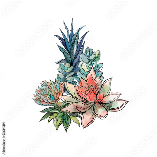Fototapeta Naklejka Na Ścianę i Meble -  Bouquet of succulents. Flower arrangement for design. Watercolor. Graphics Vector