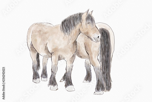 Fototapeta Naklejka Na Ścianę i Meble -  zwei Pferde gemalt