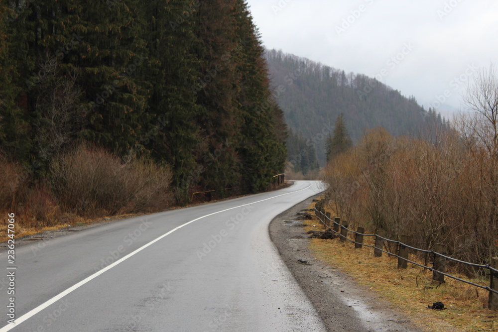 Fototapeta premium road